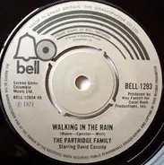 The Partridge Family Starring David Cassidy - Walking In The Rain