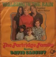 The Partridge Family Starring David Cassidy - Walking In The Rain