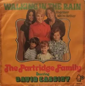 The Partridge Family - Walking In The Rain