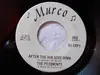 7'' - The Peermonts - After The Sun Goes Down / You Gotta Love Me Too
