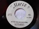 7'' - The Peermonts - After The Sun Goes Down / You Gotta Love Me Too