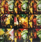The Pooh Sticks - Multiple Orgasm