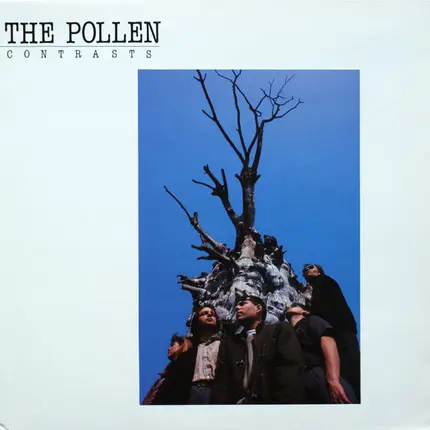 The Pollen - Contrasts