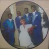 Picture LP - The Platters - Greatest Hits - PICTURE DISC
