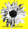 LP - The Psycho Daisies - Pushin' Up Daisies