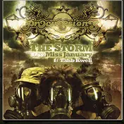 The Procussions - The Storm / Miss January