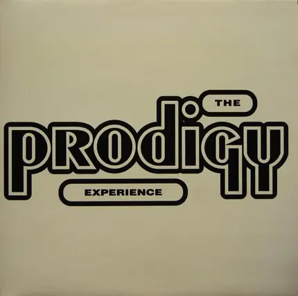 Prodigy - Experience