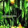 CD - the Promise Ring - Wood/Water