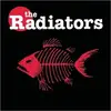 CD - The Radiators - The Radiators