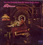 The Ragtimers - Say, Has Anybody Seen My Sweet Gypsy Rose