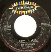 The Raindrops - Book Of Love / I Won't Cry