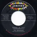 7'' - The Raindrops - What A Guy / It's So Wonderful