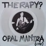 Therapy? - Opal Mantra (Live)