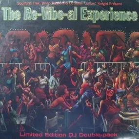 The Re-Vibe-Al Experience - The Re-Vibe-Al Experience