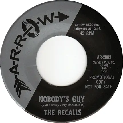The Recalls - nobody's Guy / Reesie