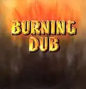 The Revolutionaries - Burning Dub