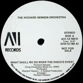 The Richard Hewson Orchestra - What Shall We Do When The Disco's Over?
