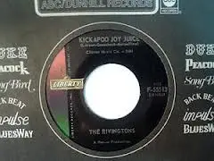 The Rivingtons - Kickapoo Joy Juice / My Reward