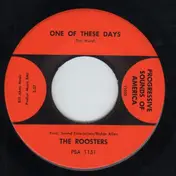 The Roosters - One Of These Days / You Gotta Run