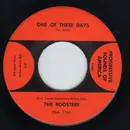 7'' - The Roosters - One Of These Days / You Gotta Run - folk garage