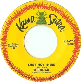 The Road - She's Not There / A Bummer