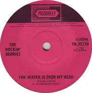 The Rockin' Berries - The Water Is Over My Head / Doesn't Time Fly