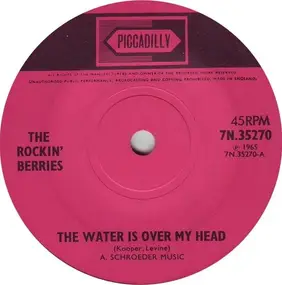 The Rockin' Berries - The Water Is Over My Head / Doesn't Time Fly