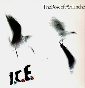 Rose of Avalanche - I.C.E.