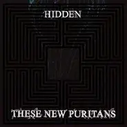 These New Puritans - Hidden