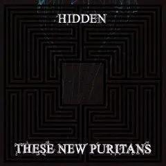 These New Puritans - Hidden