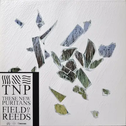 These New Puritans - Field of Reeds