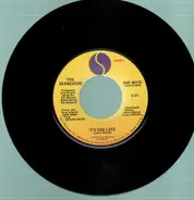 The Searchers - It's Too Late