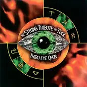 Section - Third Eye Open: The String Tribute To Tool