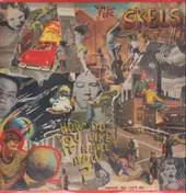 The Skels - How Do You Like It Here Now?