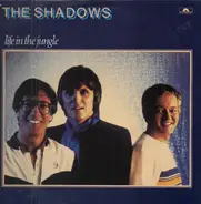 The Shadows - Life In The Jungle