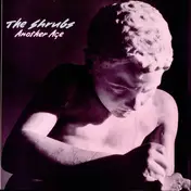 The Shrubs - Another Age