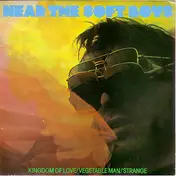 The Soft Boys - Near The Soft Boys EP