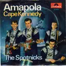 7'' - The Spotnicks - Amapola