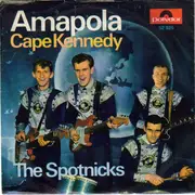 7'' - The Spotnicks - Amapola