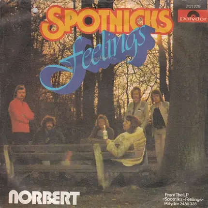 The Spotnicks - Feelings