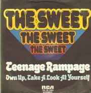 The Sweet - Teenage Rampage