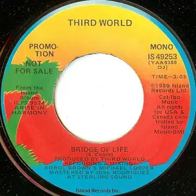 The Third World - Bridge Of Life