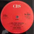 12inch Vinyl Single - Third World - One More Time