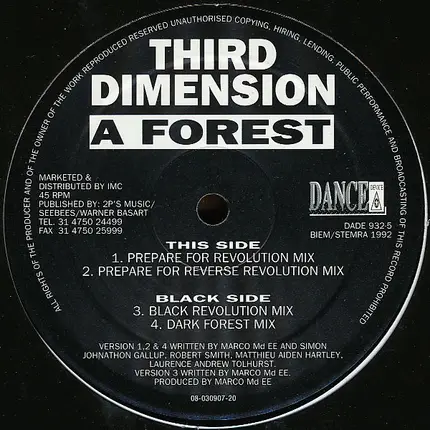 Third Dimension - A Forest