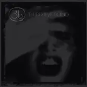Third Eye Blind - Third Eye Blind:20th..
