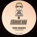 12inch Vinyl Single - Third Member - Let Everything Drop