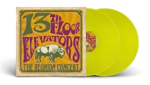 Thirteenth Floor Elevators - Reunion Concert