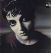 Double LP - This Mortal Coil - Blood - Gatefold.