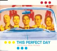 This Perfect Day - Could Have Been Friends