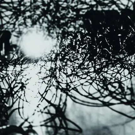 Thisquietarmy/Syndrome - Muhka